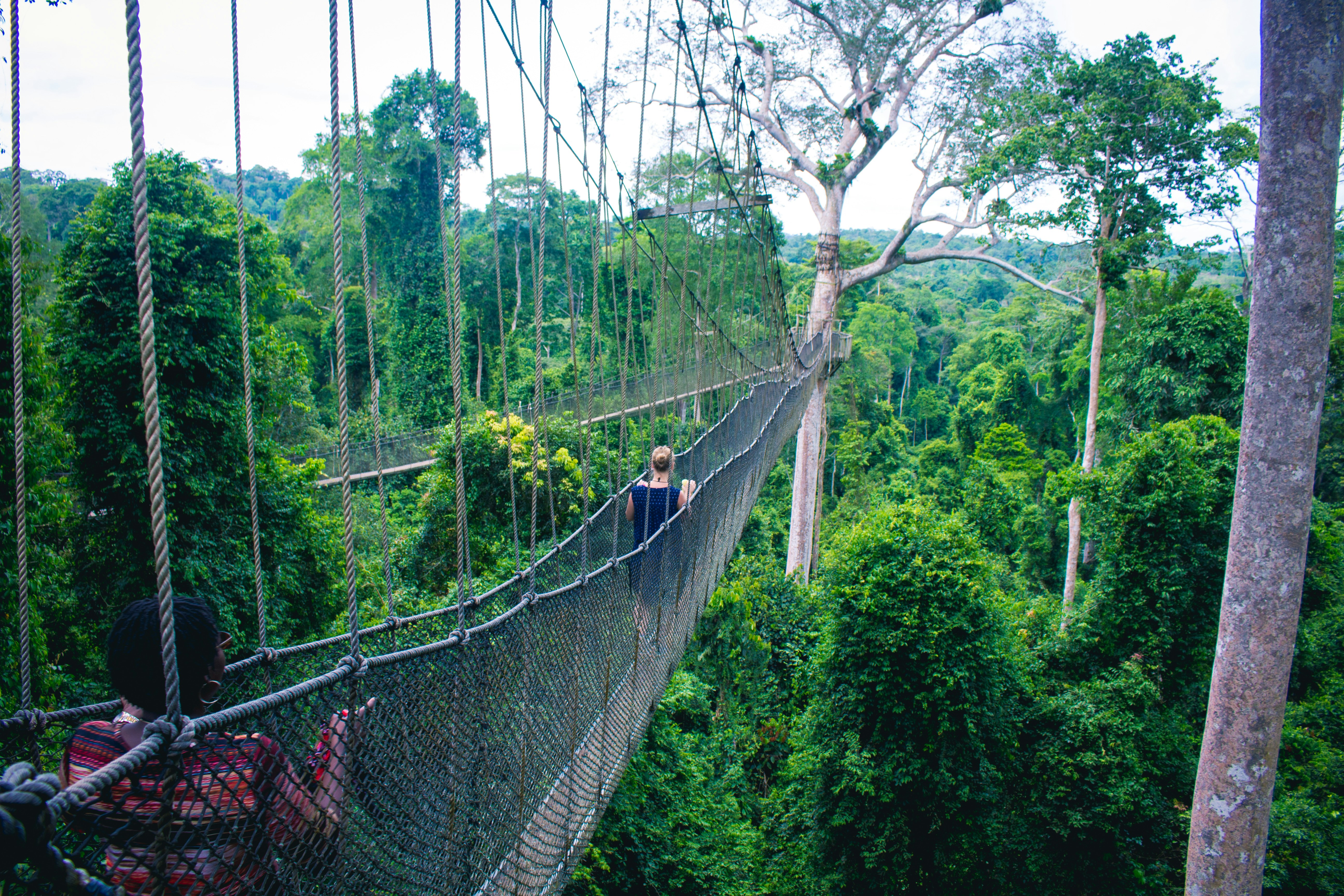 Kakum Canopy Walkway